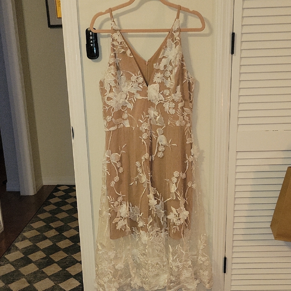 Dress the Population Floral Lace High Low Dress in Cream and Tan
